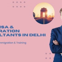 Best Visa and Immigration Consultants in Delhi